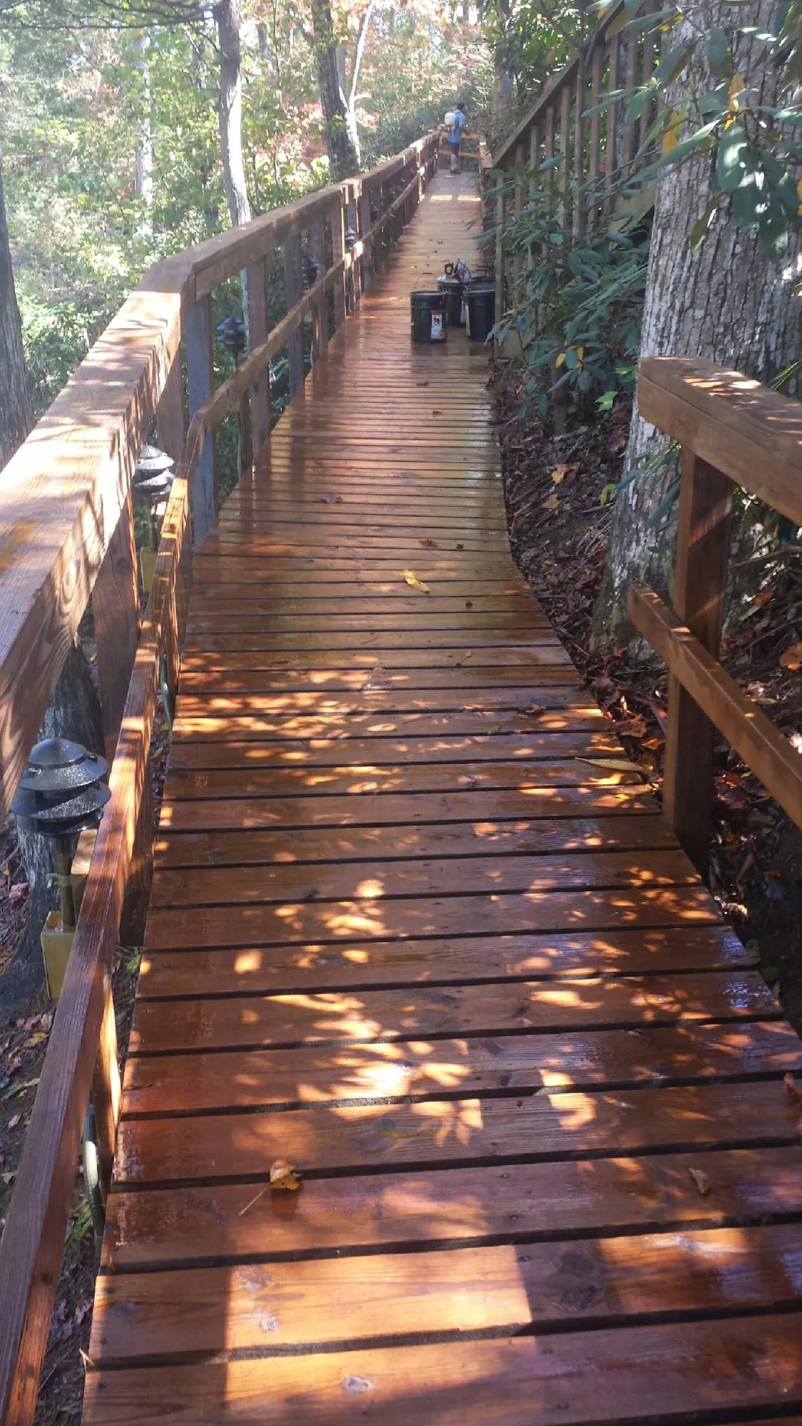 Freshly stained wood walkway winding through the woods in Bailey